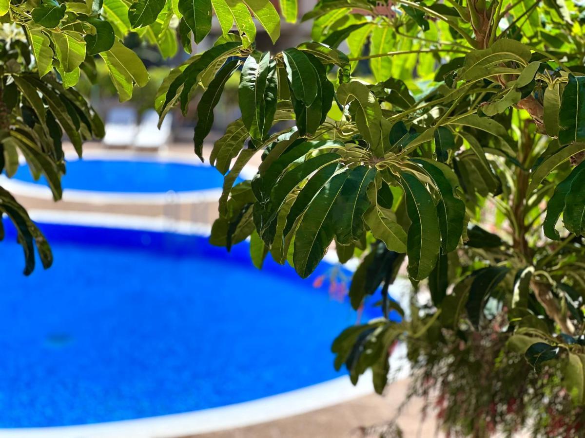 Apartment With Garden Vista Roja La Tejita Εξωτερικό φωτογραφία